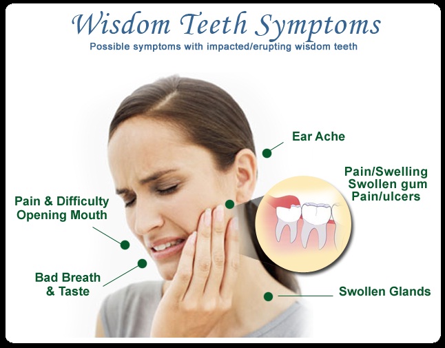 Wisdom Teeth-Vestigial Human Body Parts You Didn't Know