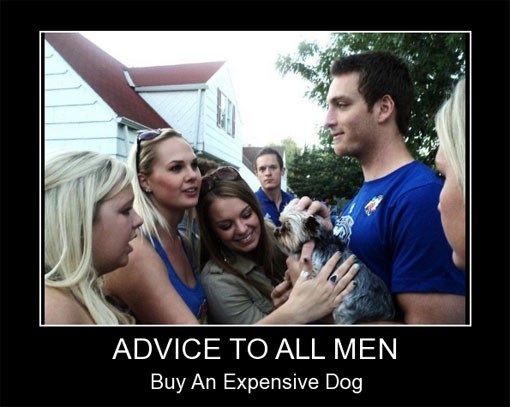 The dog wins-Top 12 Advices For Men