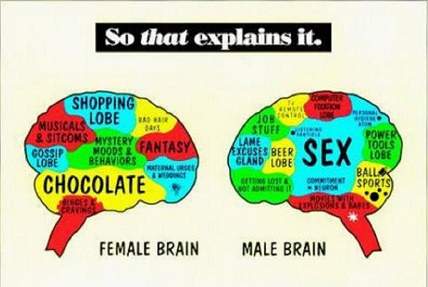 It's Different From The Opposite Sex-Weird Ways Your Brain Tricks You