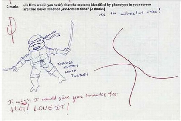 Ninja Turtle-Funny Exam Answers
