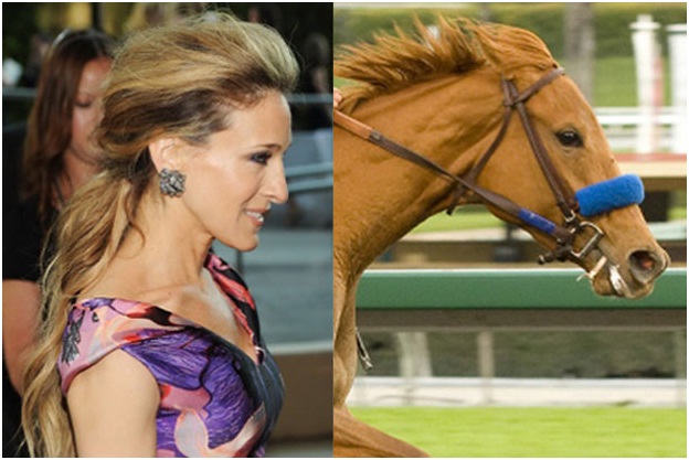 Sarah Jessica Parker Looks like a Horse-15 Celebrities Who Look Like Real Life Animals