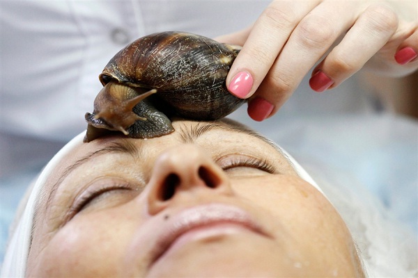 Snail slime-Disgusting Common Ingredients In Cosmetics