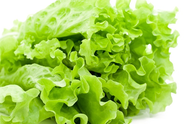 Lettuce-Veggies That Won't Make You Fat