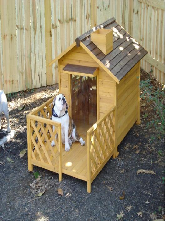 Dog house with patio-Amazing Dog Houses