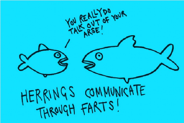 Herrings Communicate By Farting-Freaky Scientific Discoveries