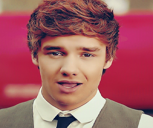 Liam-Things You Don't Know About One Direction
