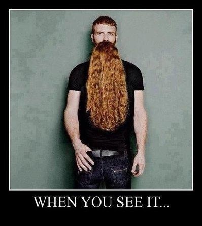 OMG! Look at that beard!!-15 Best 'When You See It' Images That Will Trick Your Brain