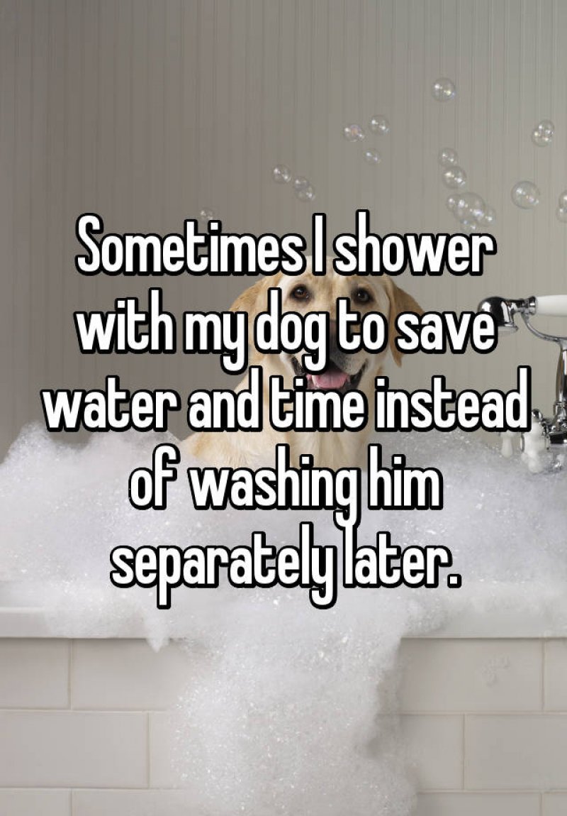 Shower with Dog; Save Time and Water! -15 Ridiculous Life Hacks For All The Lazy People Out There