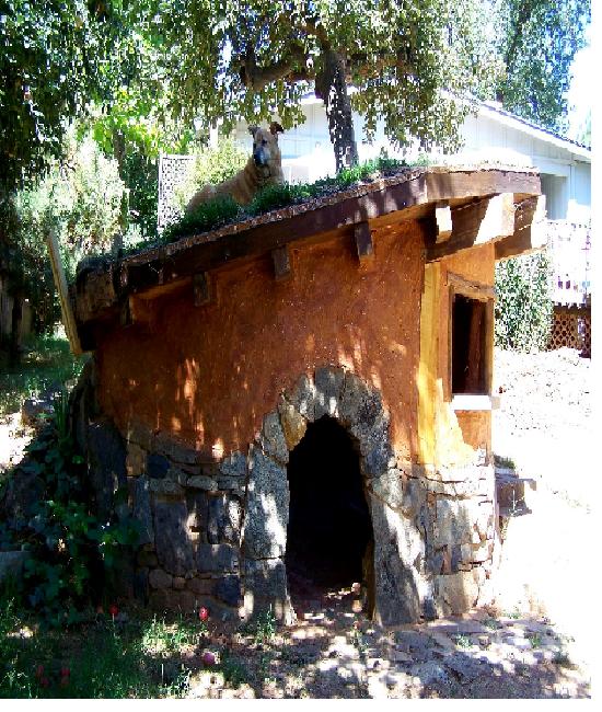 Middle Earth dog house-Amazing Dog Houses