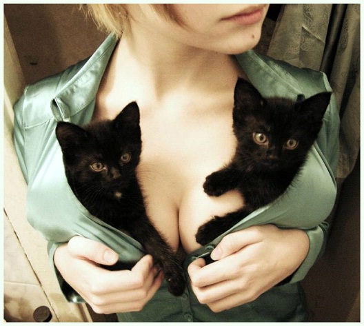 Double Luck-Pics Of Pets Being Cozy With Female Breasts
