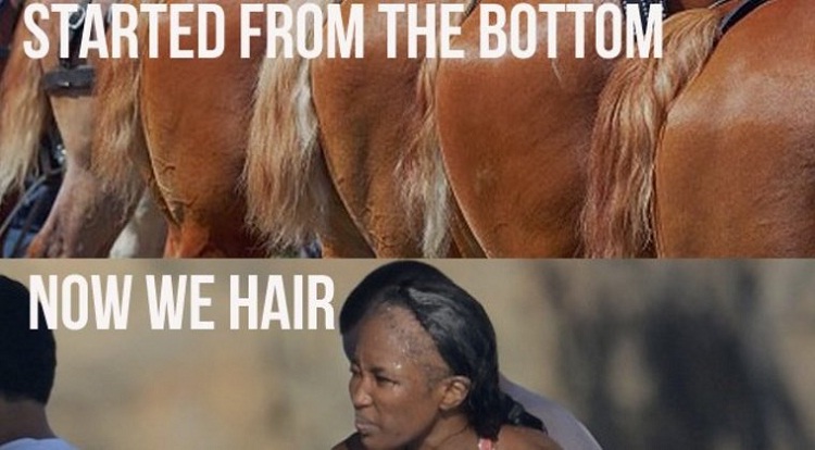 Straight From The Horses....-Funniest "Started From The Bottom" Memes