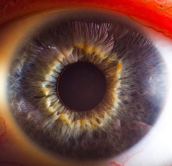 Poetry-Extreme Close Ups Of The Human Eye