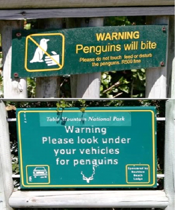 Penguins Will Bite-Scariest Warning Signs