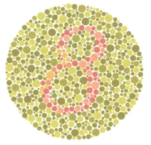 Henry The ___th?-Best Colorblindness Tests You Must Try