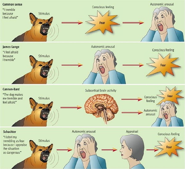 Theory of emotion-Weird Ways Your Brain Tricks You