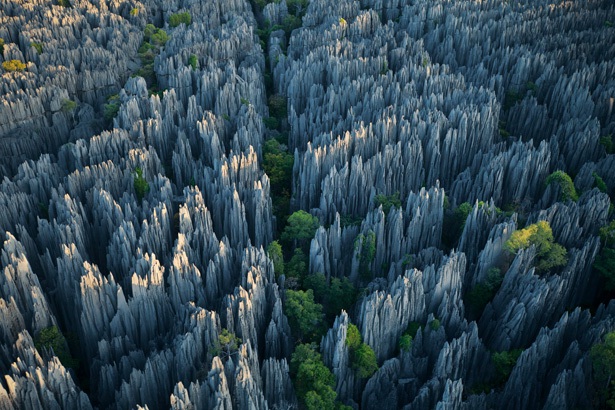 Stone Forest-Amazing Landscapes Around The World