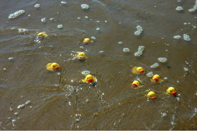 Rubber Ducks-Bizarre Things That Washed Up On Beaches