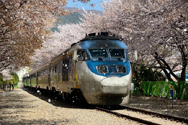 Gyeonghwa Station - South Korea-Most Amazing Train Railways