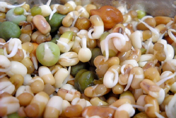 Beans And Legumes-Fat Burning Foods