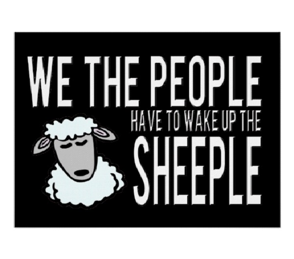 Meet The Sheeple-Cute Wake Up Messages