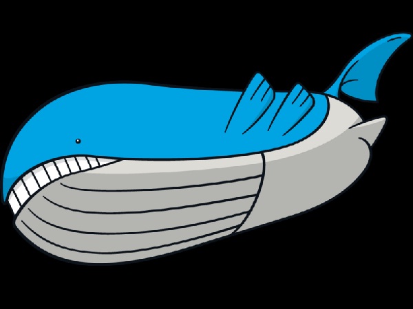 Wailord-Weird Facts About Pokemon