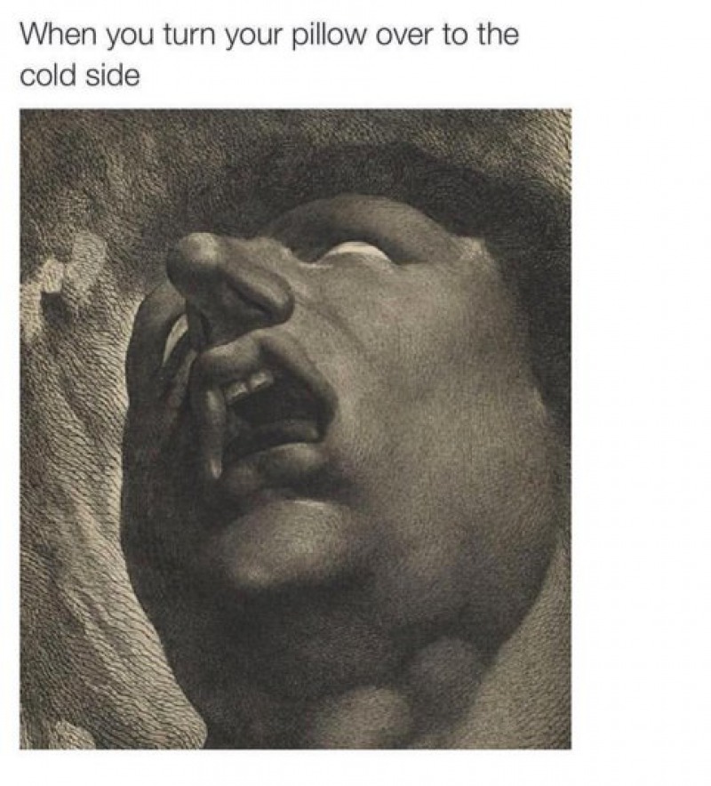 When You Turn Your Pillow Over to the Cold Side-15 Art History Reactions That Are Sure To Make You Laugh
