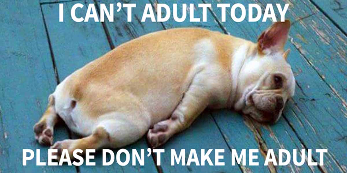 15 Signs You Haven't Understood the Whole Being an Adult Thing