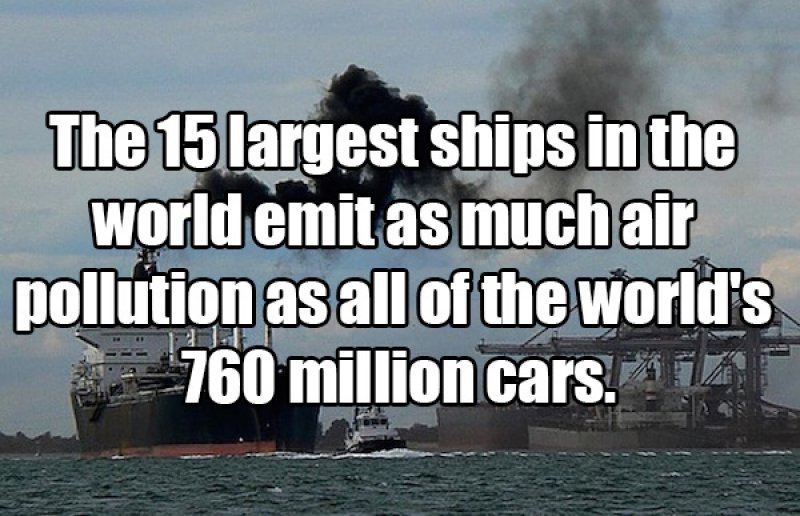 Ships are Huge-15 Amusing Facts That Are Actually True