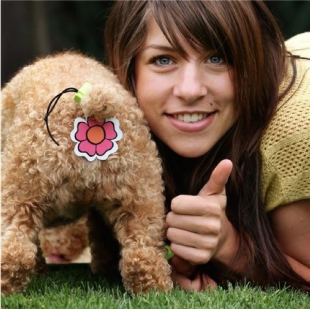 Pet Butt Stickers-15 Most Inappropriate Products Ever Made