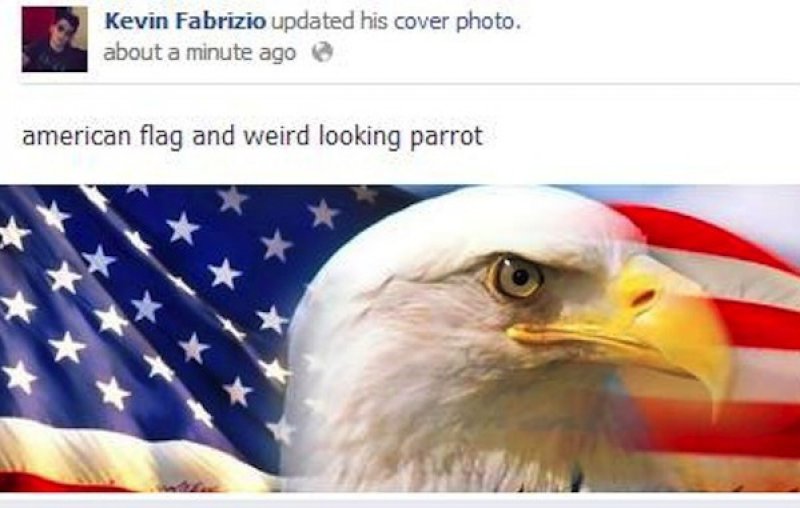 American Flag And Parrot!-15 People Who Shouldn't Be On Facebook