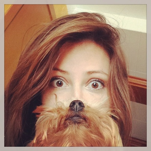 A perfect dog beard meme-15 Epic Dog Beards That Will Make You Want To Have One