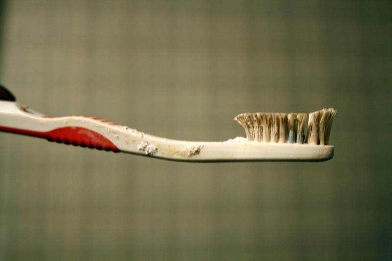 And Toothbrush Joins the List-15 Things You Use Daily That Are Actually Dirtier Than Your Toilet Seat