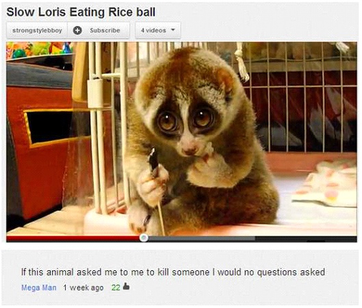 Cute Overload-Most Hilarious YouTube Comments