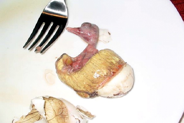 Balut-Most Gross Foods In The World