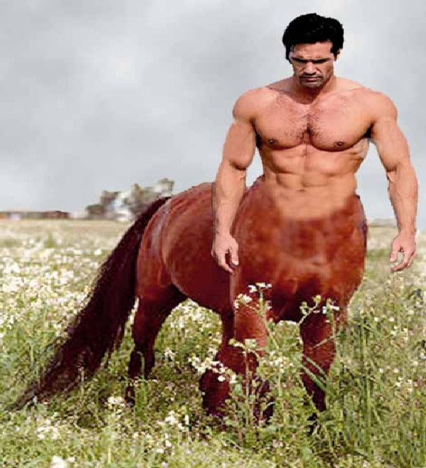 Centaur-Mythical Creatures