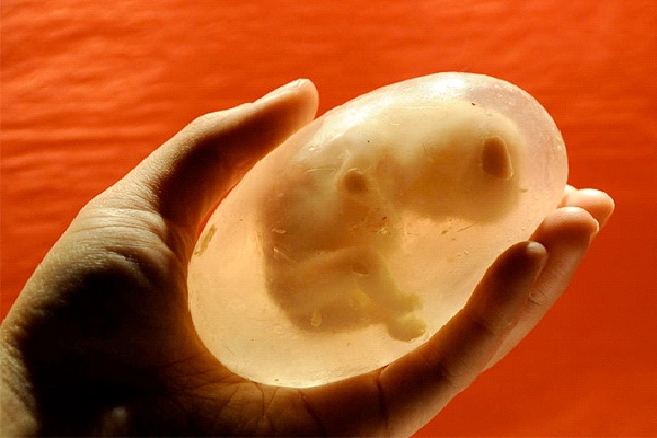 Human Fetus Soap Bar-12 Hilarious And Creative Soap Bars