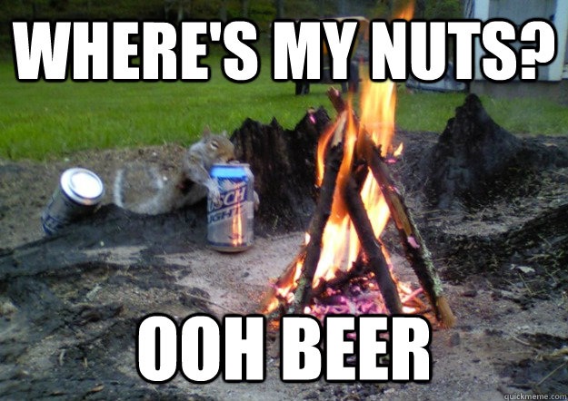 Beer and Nuts-Best Things You Can Have With Beer