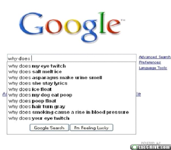 Why Does ...-Hilarious Google Search Suggestions
