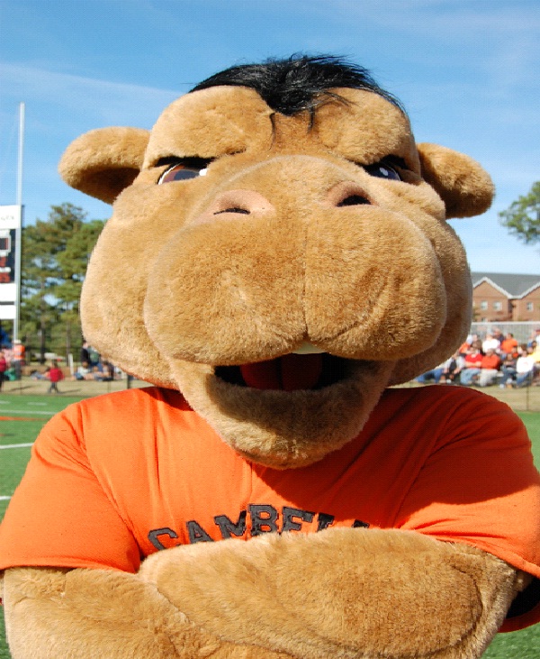 Campbell University - Gaylord The Camel-Strangest College Mascots