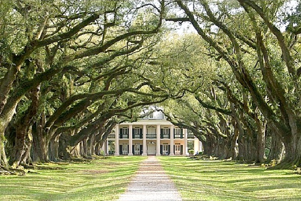Oak Alley Mansion- Louisiana-Amazing Entrances