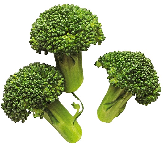 Broccoli-Best High Fiber Foods