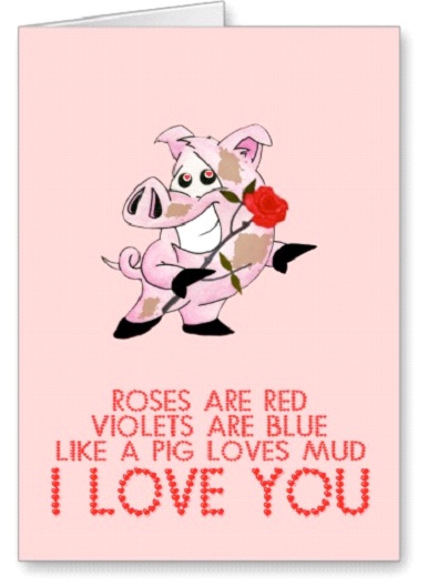Pigs Love Mud-Valentine's Day Cards That You Should Not Give Your Partner