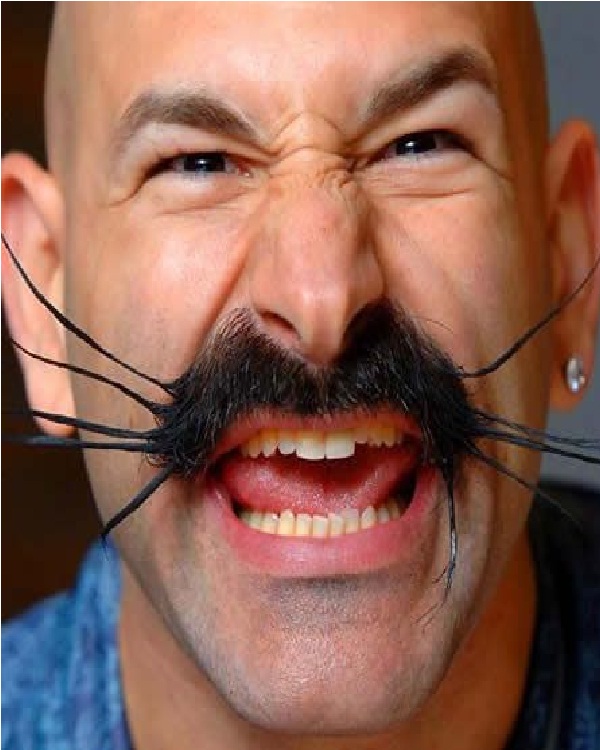 Whiskers-Weird Moustaches