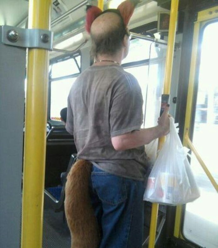 Fox Spotted in a Metro Train-15 Most Awkward Public Transport Pictures