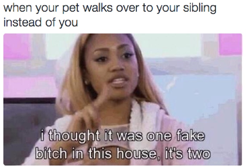 This Feeling of Dejection-15 Hilarious Images You Can Relate To If You Have Siblings