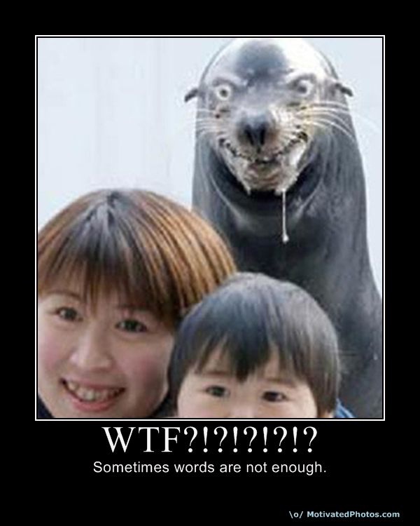 A scary seal-This Week's WTF Photos
