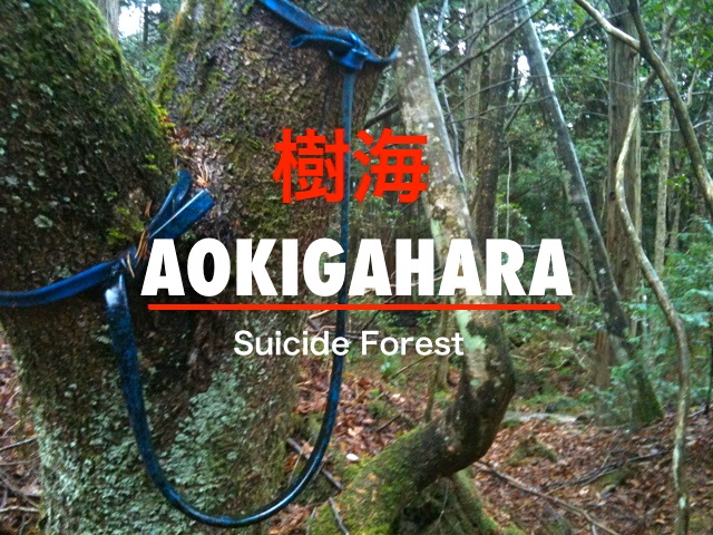 Aokigahara-Most Shocking Documentaries