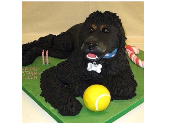 Playful Dog-Most Amazing Dog-Shaped Cakes