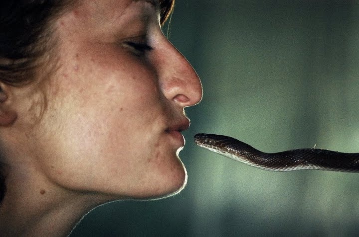 Kissing snakes-Meet Chuck Norris's Wife And Kids
