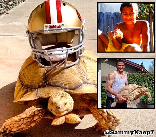 Sammy The Giant Tortoise-World's Biggest Pets